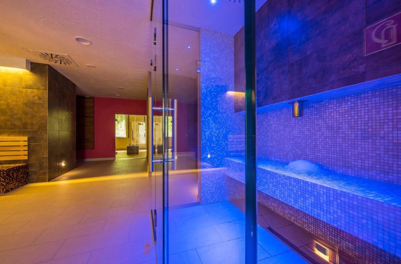 Wellness Penzion Smerdzonka - Kupele Pieniny Červený Kláštor Exterior foto